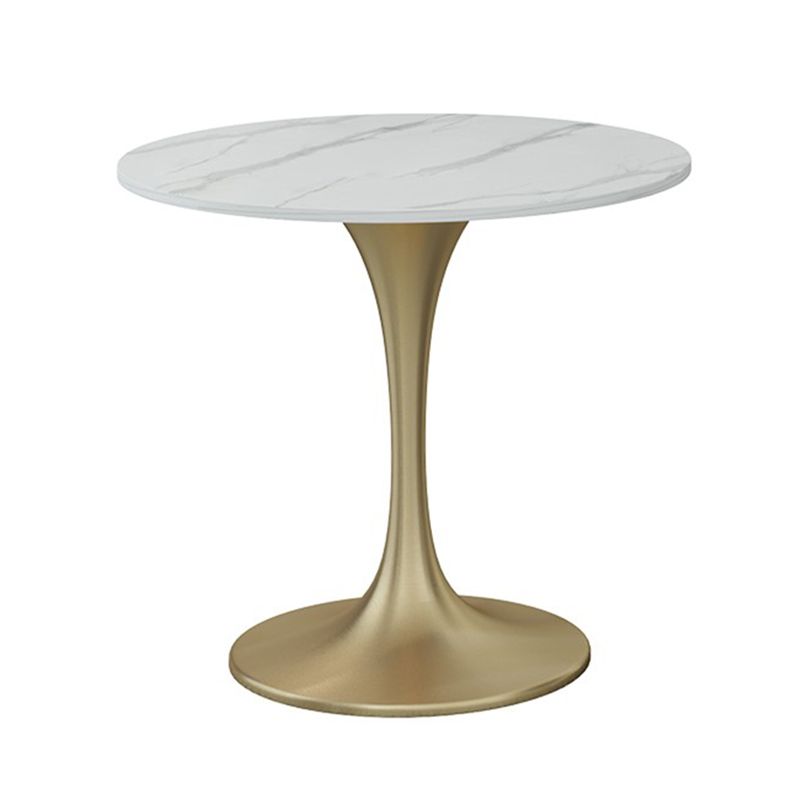 Traditional Luxury Round Dining Site Table Stone Home Furniture with Tulip Base Clearhalo ' dining_table' 'Dining Tables & Seating' 'Dining Tables' 'furn' 'furn_dining_table' 'Furniture' 'furniture_dining_table' 'Kitchen & Dining Furniture' 'kitchen&dining_furn' 'kitchen' 'kitchen_dining_table' 1200x1200_ebc9c1a1-21bb-43b5-a76b-ffb6a1af7788