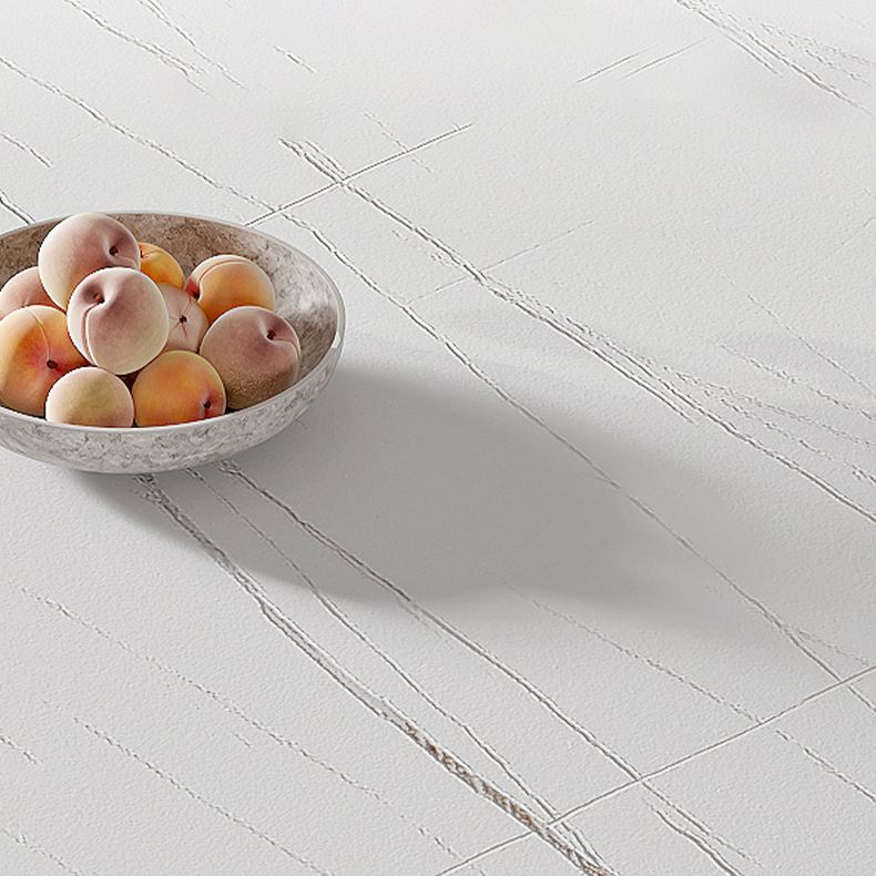 Nordic Sintered Stone Top Dining Set Rectangle 1/2/5/7 Pieces Dining Room Table Set Clearhalo 'Dining Room Sets' 'Dining Tables & Seating' 'dining_room_set' 'furn' 'furn_dining_room_set' 'Furniture' 'furniture_dining_room_set' 'Kitchen & Dining Furniture' 1200x1200_ebd1094a-3990-46d6-88ff-803767d6209a