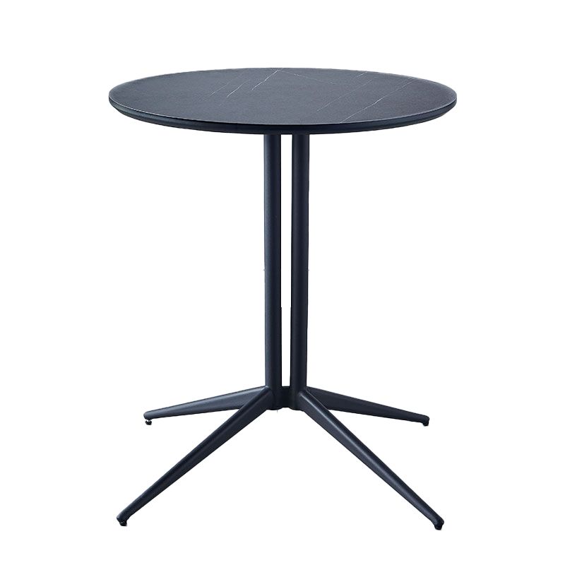 Metal Contemporary Round Dining Table Wood Top Indoor Table with Pedestal Base Clearhalo ' dining_table' 'Dining Tables & Seating' 'Dining Tables' 'furn' 'furn_dining_table' 'Furniture' 'furniture_dining_table' 'Kitchen & Dining Furniture' 'kitchen&dining_furn' 'kitchen' 'kitchen_dining_table' 1200x1200_ec108284-5dc7-4d73-a1a2-8cd97a3927a3