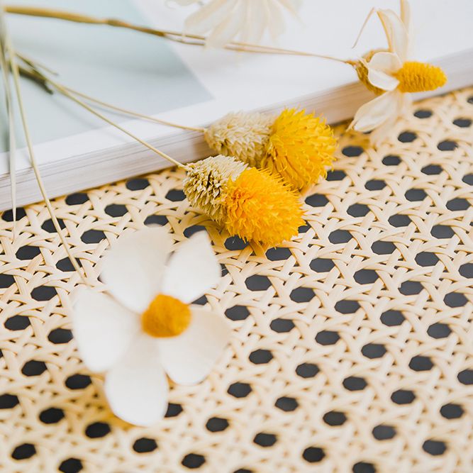 現代バルコニーウッドアームチェアマット仕上げオープンダイニングチェア