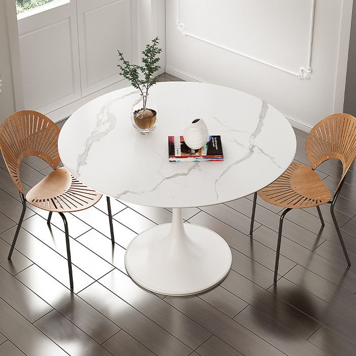 Stone Round Top Table Contemporary Dining Table with Pedestal Base Clearhalo 'Dining Tables & Seating' 'Dining Tables' 'dining_table' 'furn' 'furn_dining_table' 'Furniture' 'furniture_dining_table' 'Kitchen & Dining Furniture' 'kitchen' 'kitchen_dining_table' 1200x1200_ec59b47b-6270-4d3c-8bdc-0c80184eb874