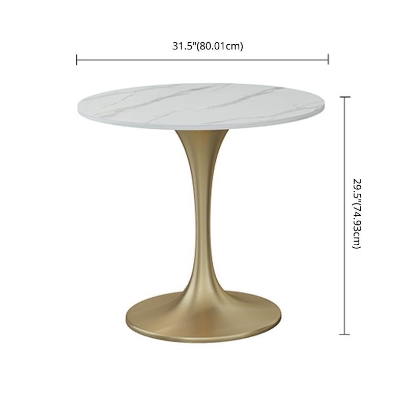 Scandinavian Style Sintered Stone Top Dining Set with Round Table Dining Furniture Clearhalo 'Dining Room Sets' 'Dining Tables & Seating' 'dining_room_set' 'furn' 'furn_dining_room_set' 'Furniture' 'furniture_dining_room_set' 'Kitchen & Dining Furniture' 'kitchen&dining_furn' 'kitchen' 1200x1200_ecbe85e9-35b7-4186-b935-afb834e0bbfe