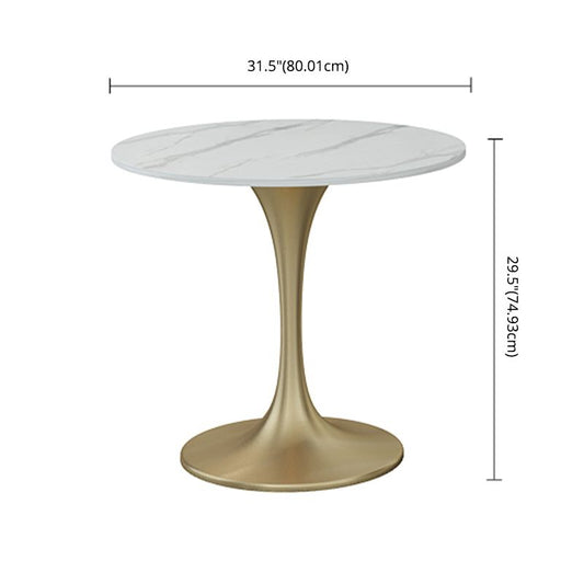Scandinavian Style Sintered Stone Top Dining Set with Round Table Dining Furniture Clearhalo 'Dining Room Sets' 'Dining Tables & Seating' 'dining_room_set' 'furn' 'furn_dining_room_set' 'Furniture' 'furniture_dining_room_set' 'Kitchen & Dining Furniture' 'kitchen&dining_furn' 'kitchen' 1200x1200_ecbe85e9-35b7-4186-b935-afb834e0bbfe