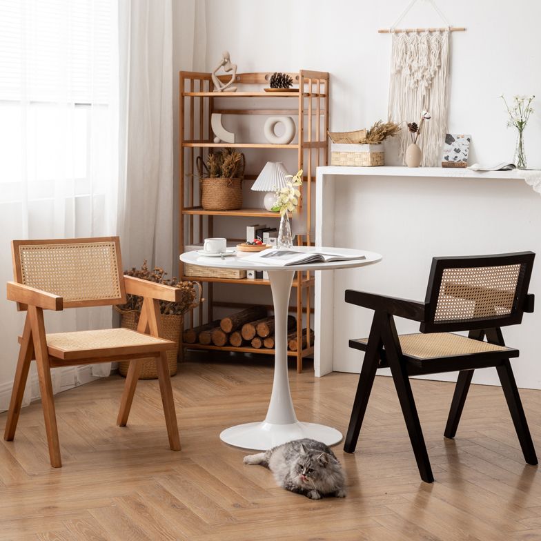 Solid Wood Traditional Dining Room Chair Matte Finish Cane Back Dining Arm Chairs Clearhalo ' kitchen&dining_furn' 'Dining Chairs' 'Dining Tables & Seating' 'dining_chair' 'furn' 'furn_dining_chair' 'Furniture' 'furniture_dining_chair' 'Kitchen & Dining Furniture' 'kitchen' 1200x1200_ed396bd4-b81a-44d4-a0ef-96319820d684