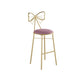 Glam Armless Backrest Counter Stool Iron Cashier Bar Stool with Cushion and Pedal Clearhalo 'Bar Furniture' 'Bar Stools' 'bar_stools' 'furn' 'furn_bar_stools' 'Furniture' 'Kitchen & Dining Furniture' 1200x1200_edc19b4d-19cc-4a08-be7f-9852eae27583