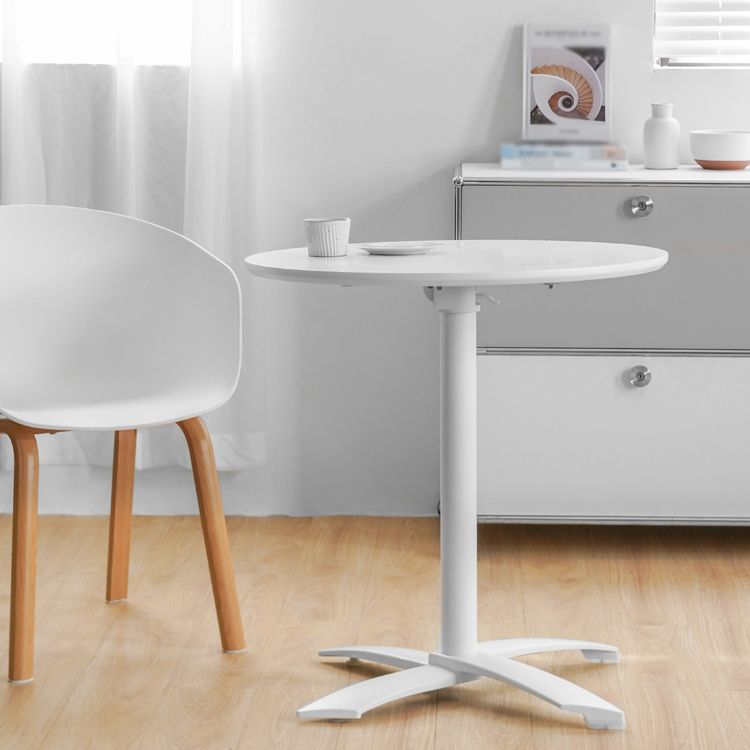 Metal Contemporary Round Dining Table Wood Top Dining Table with Pedestal Base Clearhalo ' dining_table' 'Dining Tables & Seating' 'Dining Tables' 'Furniture' 'furniture_dining_table' 'Kitchen & Dining Furniture' 'kitchen&dining_furn' 'kitchen' 'kitchen_dining_table' 1200x1200_ee0c8160-b73b-4f7c-a1b1-ae68b322d591