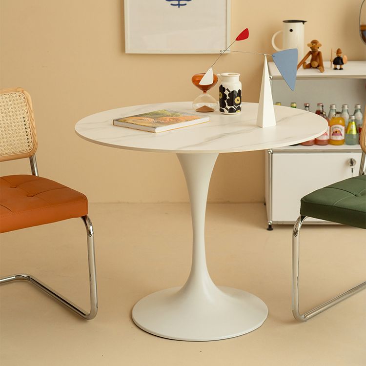 Contemporary Round Shape Sintered Stone Dining Table Kitchen Dining Table with Tulip Base Clearhalo ' dining_table' 'Dining Tables & Seating' 'Dining Tables' 'furn' 'furn_dining_table' 'Furniture' 'furniture_dining_table' 'Kitchen & Dining Furniture' 'kitchen&dining_furn' 'kitchen' 'kitchen_dining_table' 1200x1200_ee33b9ca-a79a-4783-8fb1-5fa40dabd81d