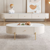 2 Legs Single Coffee Table Glam Oval Coffee Table with Drawer