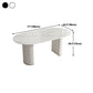 Modern Oval Dining Table White Sintered Stone Dining Table with Double Pedestal Base for Home Clearhalo ' dining_table' 'Dining Tables & Seating' 'Dining Tables' 'furn' 'furn_dining_table' 'Furniture' 'furniture_dining_table' 'Kitchen & Dining Furniture' 'kitchen&dining_furn' 'kitchen' 'kitchen_dining_table' 1200x1200_eeca5cb9-6217-4401-9fb9-b1f692c0cf28