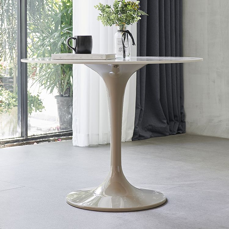 Modern 1/3/4/5 Pieces Sintered Stone Dining Set Dining Furniture Set /Separate Items Clearhalo 'Dining Room Sets' 'Dining Tables & Seating' 'dining_room_set' 'furn' 'furn_dining_room_set' 'Furniture' 'furniture_dining_room_set' 'Kitchen & Dining Furniture' 'kitchen&dining_furn' 'kitchen' 1200x1200_ef2392e2-18fe-48d2-ad6c-0950e6899f9e