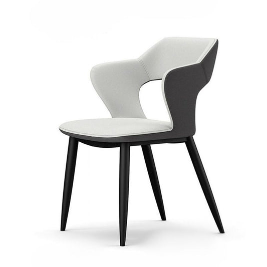 Metal Modern Indoor Side Chair with Arms Matte Finish Open Back Dining Chair Clearhalo 'Dining Chairs' 'Dining Tables & Seating' 'dining_chair' 'furn' 'furn_dining_chair' 'Furniture' 'Kitchen & Dining Furniture' 1200x1200_ef663f5d-ce0e-47b2-aa7f-056875e11aa6