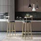 Glam Armless Backrest Counter Stool Iron Kitchen Bar Stool with Cushion and Pedal Clearhalo 'Bar Furniture' 'Bar Stools' 'bar_stools' 'furn' 'furn_bar_stools' 'furniture_bar_stools' 'Kitchen & Dining Furniture' 'kitchen&dining_furn' 'kitchen' 'kitchen_furn' Furniture' 1200x1200_ef96e3e9-8810-42d4-93e0-d45fe42e6102