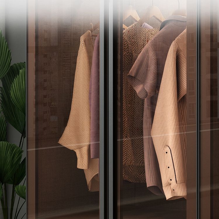 Modern Style Storage Cabinet Mirrored Finish Cabinet with Glass Door Clearhalo 'Armoires & Wardrobes' 'armoires_wardrobes' 'Bedroom Furniture' 'furn' 'furn_armoires_wardrobes' 'Furniture' 1200x1200_f00f4471-c14f-441a-a5a4-06a34fdd43e2