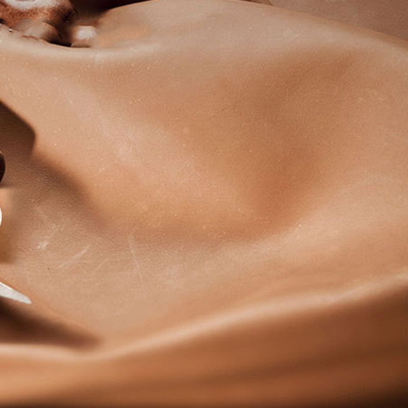 Contemporary Dining Arm Chair Solid Wood Dining Chair for Home Clearhalo 'Dining Chairs' 'Dining Tables & Seating' 'dining_chair' 'furn' 'furn_dining_chair' 'Furniture' 'Kitchen & Dining Furniture' 1200x1200_f0175835-c951-41c1-9515-b212b8619d4d