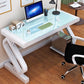 23" Wide Modern Gaming Desk Rectangular Mirrored Office Desk Clearhalo 'furn' 'furn_office_desk' 'Furniture' 'Office Desks' 'Office Furniture' 'office_desk' 1200x1200_f1109524-c9f7-42ec-a850-9563a7d20869