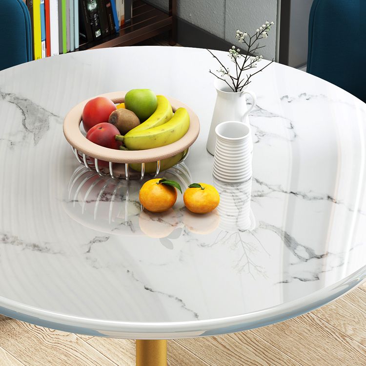 29.5''H Luxury Scratch Resistant Marble Table Round Table for Home Clearhalo ' dining_table' 'Dining Tables & Seating' 'Dining Tables' 'furn' 'furn_dining_table' 'Furniture' 'furniture_dining_table' 'Kitchen & Dining Furniture' 'kitchen&dining_furn' 'kitchen' 'kitchen_dining_table' 1200x1200_f164db77-8b09-4f90-b41d-706685cb8f00