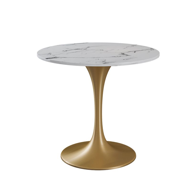 Glam 1/4/5 Pieces Dining Set Sintered Stone Dining Table Set for Dining Areas Clearhalo 'Dining Room Sets' 'Dining Tables & Seating' 'dining_room_set' 'furn' 'furn_dining_room_set' 'Furniture' 'furniture_dining_room_set' 'Kitchen & Dining Furniture' 1200x1200_f19950b9-70c3-454b-afb2-4228904b93ba