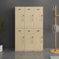 Natural Finish Cabinet with Hinged Door Contemporary Interior Storage Cabinet