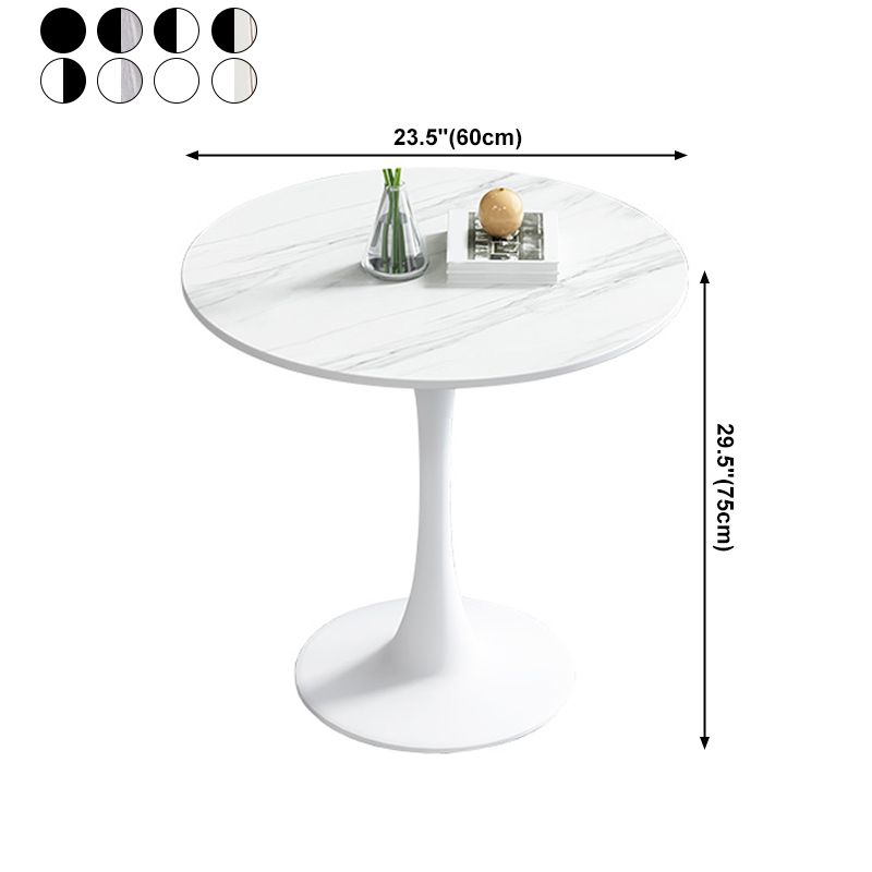 Simplicity Round Dining Room Table Sintered Stone Table with Tulip Base Clearhalo ' dining_table' 'Dining Tables & Seating' 'Dining Tables' 'furn' 'furn_dining_table' 'Furniture' 'furniture_dining_table' 'Kitchen & Dining Furniture' 'kitchen&dining_furn' 'kitchen' 'kitchen_dining_table' 1200x1200_f1e292db-d611-4249-8e54-25cf69a2b8a6