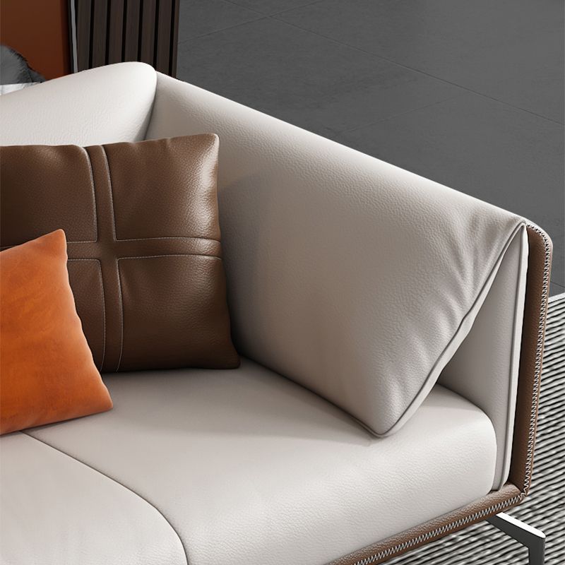Contemporary Stationary Genuine Leather Stain Resistant Sofa for Living Room
