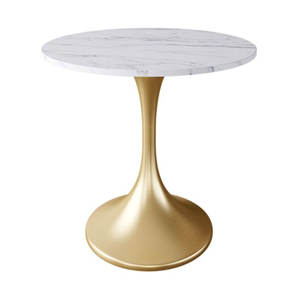 Round Tulip Base Luxury Dining Table White Fixed Table with Sintered Stone Clearhalo ' dining_table' 'Dining Tables & Seating' 'Dining Tables' 'furn' 'furn_dining_table' 'Furniture' 'furniture_dining_table' 'Kitchen & Dining Furniture' 'kitchen&dining_furn' 'kitchen' 'kitchen_dining_table' 1200x1200_f257459a-c5be-4be6-8bae-31b8862421e8