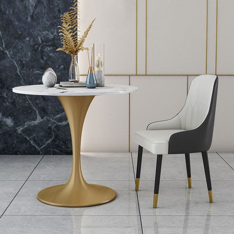 Modern Stone Dining Set 1/4/5 Pieces Round Dining Table Set with Padded Chairs Clearhalo 'Dining Room Sets' 'Dining Tables & Seating' 'dining_room_set' 'furn' 'furn_dining_room_set' 'Furniture' 'Kitchen & Dining Furniture' 1200x1200_f2cc1f7f-65b8-405b-85c5-4ac3f0d8a774