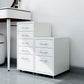 Contemporary Steel Filing Cabinet File Pedestal File Cabinet with Drawers Clearhalo 'Filing Cabinets' 'filling_cabinets' 'furn' 'furn_filling_cabinets' 'Furniture' 'Office Furniture' 1200x1200_f2d69bca-5d61-46dc-b0f6-7424d57f8b5b