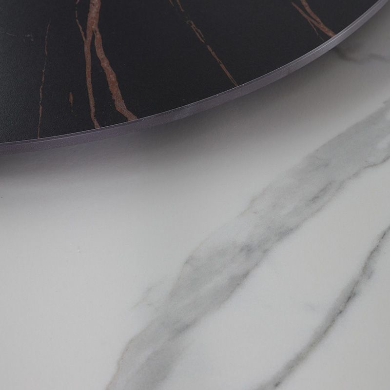 Modern Round Dinette Set 1/4/7 Pieces Sintered Stone Top Dining Table Set with Turntable Clearhalo 'Dining Room Sets' 'Dining Tables & Seating' 'dining_room_set' 'furn' 'furn_dining_room_set' 'Furniture' 'furniture_dining_room_set' 'Kitchen & Dining Furniture' 1200x1200_f2f2fc09-0f9a-4adc-a203-6418380c990b