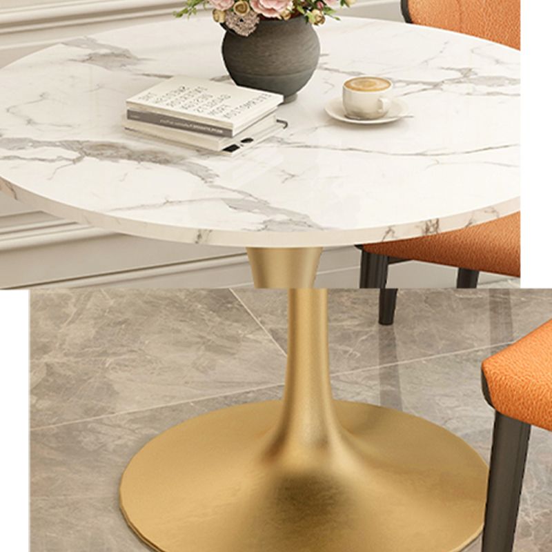 Modern Style Dining Table Sintered Stone Round Tulip Table for Dining Room Clearhalo 'Dining Tables & Seating' 'Dining Tables' 'dining_table' 'furn' 'furn_dining_table' 'Furniture' 'Kitchen & Dining Furniture' 1200x1200_f34f046d-c080-46cd-ba39-42281d1a4cc5