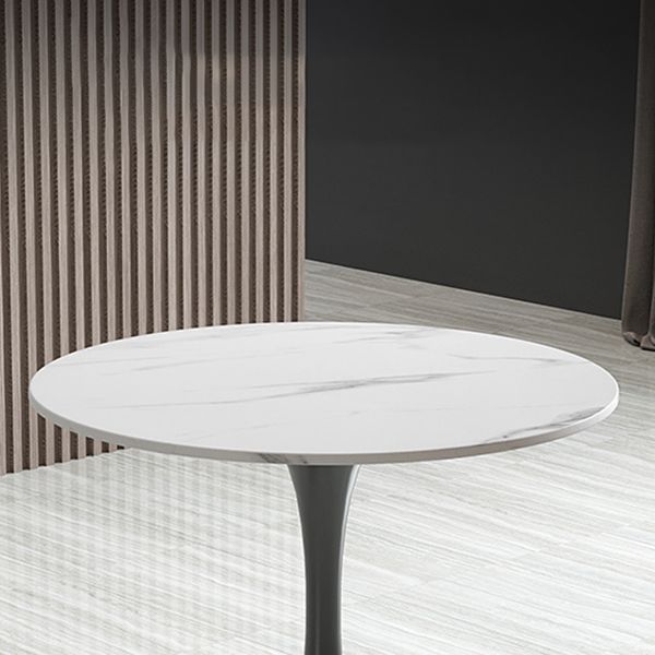 Modern Round Dining Table Sintered Stone Tulip Table for Dining Room Clearhalo 'Dining Tables & Seating' 'Dining Tables' 'dining_table' 'furn' 'furn_dining_table' 'Furniture' 'Kitchen & Dining Furniture' 1200x1200_f3700734-2ccf-408b-9cbf-da9d3dce11c4