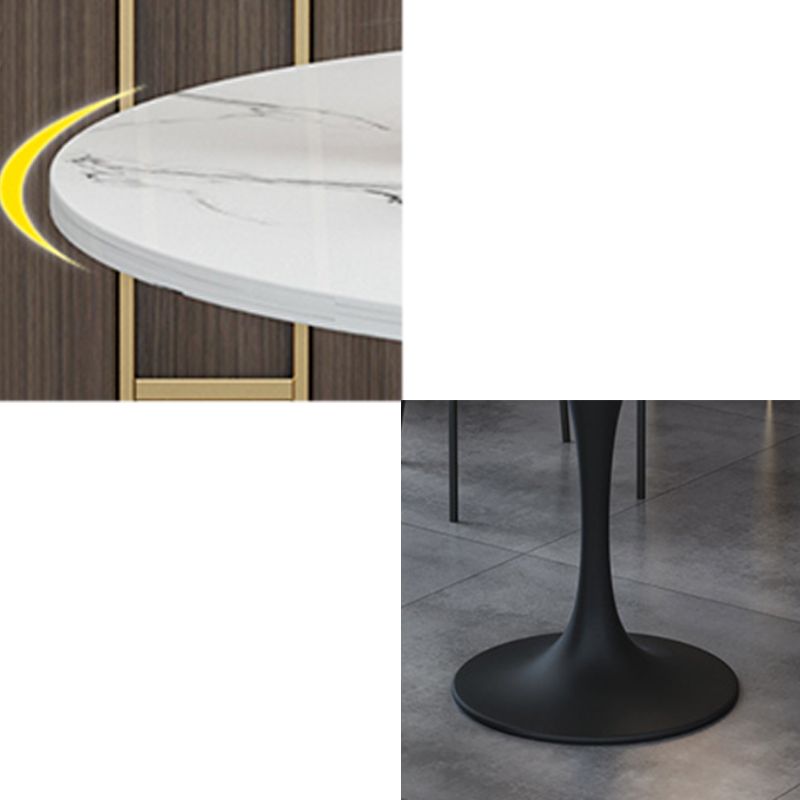 Modern Stone Round Dining Table Tulip Pedestal Table for Dining Room Clearhalo 'Dining Tables & Seating' 'Dining Tables' 'dining_table' 'furn' 'furn_dining_table' 'Furniture' 'Kitchen & Dining Furniture' 1200x1200_f3af7d52-3799-4b52-b15d-0e5d4580cb53