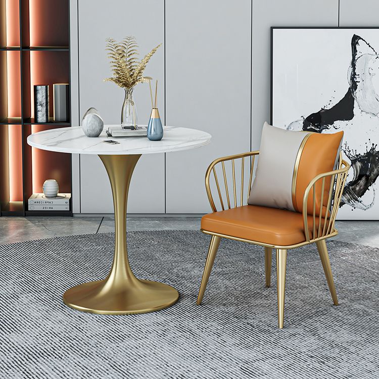 Round Dining Table with Metal Pedestal Modern Table for Home