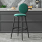 Glam Armless Backrest Counter Stool Steel Bookstore Bar Stool with Velvet Cushion Clearhalo 'Bar Furniture' 'Bar Stools' 'bar_stools' 'furn' 'furn_bar_stools' 'furniture_bar_stools' 'Kitchen & Dining Furniture' 'kitchen&dining_furn' 'kitchen' 'kitchen_furn' Furniture' 1200x1200_f4b4c00f-01cd-4959-a67e-a214c5f44251