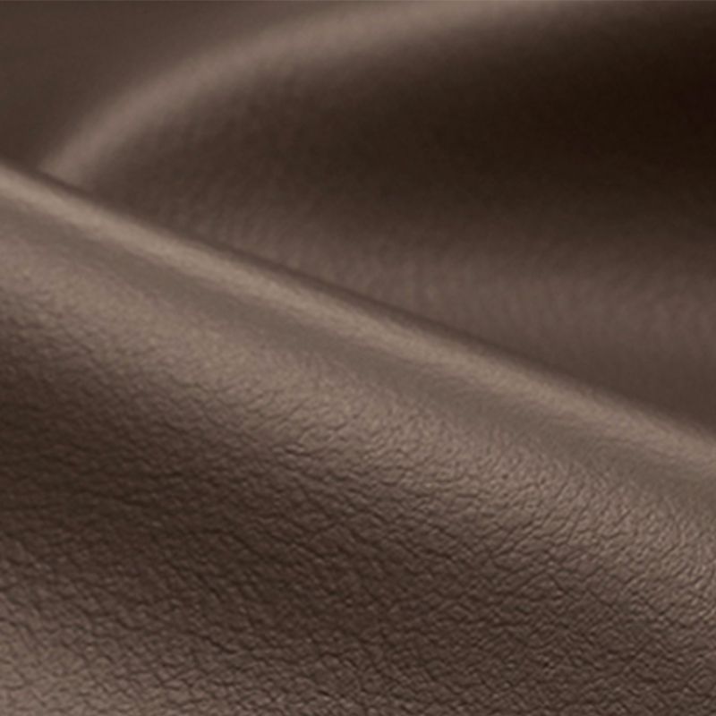 Contemporary Brown Cushions Standard Pillow Top Arm Stain Resistant Sofa Clearhalo 'furn' 'furn_sofas' 'Furniture' 'Living Room Furniture' 'Sofa' 'sofas' 1200x1200_f4b5aa82-9773-446d-94fa-ba7d46653681