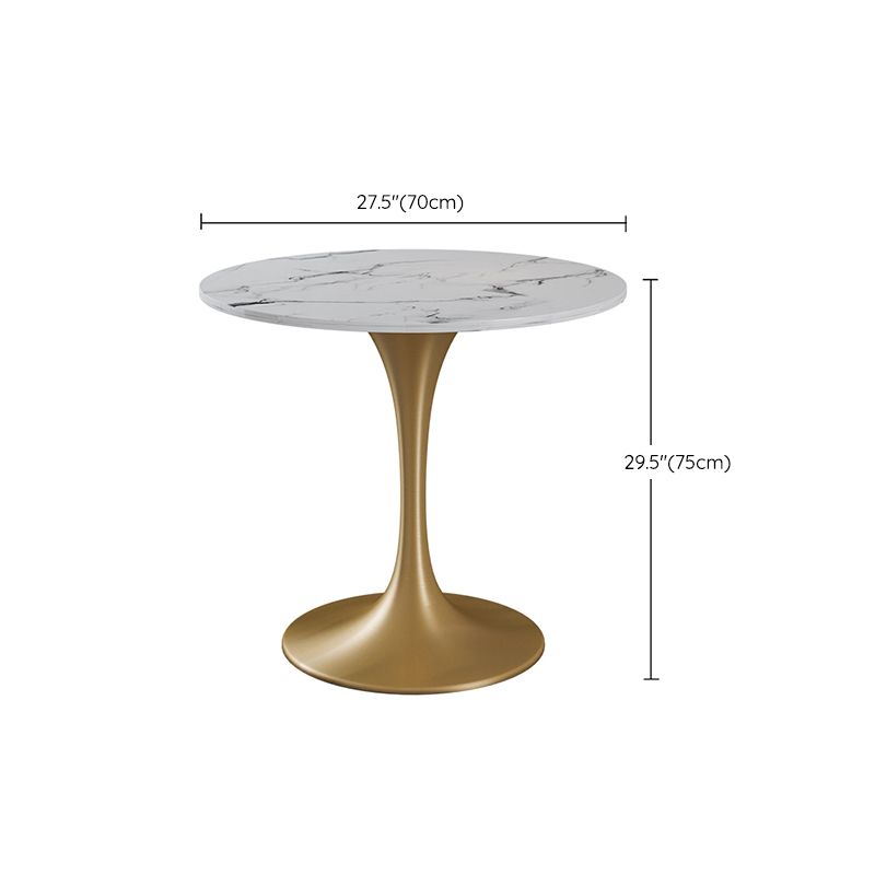 Traditional Luxury Dining Table for Home Round Table with Metal Tulip Base Clearhalo 'Dining Tables & Seating' 'Dining Tables' 'dining_table' 'furn' 'furn_dining_table' 'Furniture' 'Kitchen & Dining Furniture' 1200x1200_f4c3ba98-dbaa-4ea0-a0c4-6baad97fb990