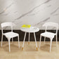 Contemporary Chair Dining Armless Chair for Kitchen with Plastic Legs Clearhalo 'Dining Chairs' 'Dining Tables & Seating' 'dining_chair' 'furn' 'furn_dining_chair' 'Furniture' 'furniture_dining_chair' 'Kitchen & Dining Furniture' 1200x1200_f4c5752e-f94a-4509-b94c-d34c8245f560