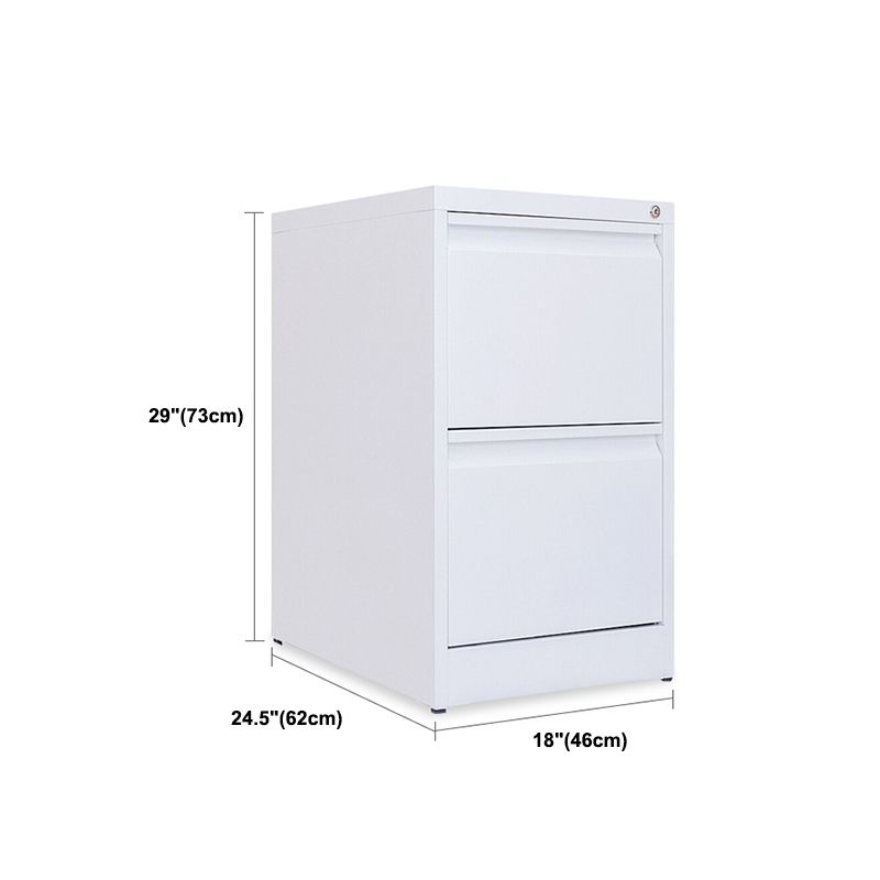Modern Vertical Filing Cabinet Metal Filing Cabinet with Lock and Storage Clearhalo 'Filing Cabinets' 'filling_cabinets' 'furn' 'furn_filling_cabinets' 'Furniture' 'Office Furniture' 1200x1200_f500a198-96e5-4419-a8c8-ae5242f4ec81