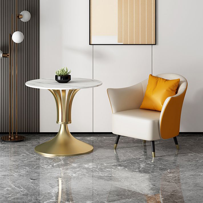Round Shape White Dining Table Sintered Stone Table Contemporary with Tulip Base Clearhalo ' dining_table' 'Dining Tables & Seating' 'Dining Tables' 'furn' 'furn_dining_table' 'Furniture' 'furniture_dining_table' 'Kitchen & Dining Furniture' 'kitchen&dining_furn' 'kitchen' 'kitchen_dining_table' 1200x1200_f526305e-07ff-4ac5-84fe-8019562a28ce