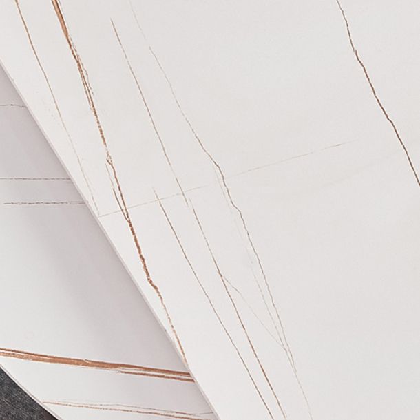 Modern 1/3/4/5/7 Pieces White Dining Table Set with Sintered Stone Top Round Dinette Set Clearhalo 'Dining Room Sets' 'Dining Tables & Seating' 'dining_room_set' 'furn' 'furn_dining_room_set' 'Furniture' 'furniture_dining_room_set' 'Kitchen & Dining Furniture' 'kitchen&dining_furn' 'kitchen' 1200x1200_f52ab19c-dde7-4288-b2b5-cf0623c483e9