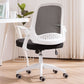 Hedendaagse ergonomische mesh -taakstoel Nylon Swivel Bureau -voorzitter