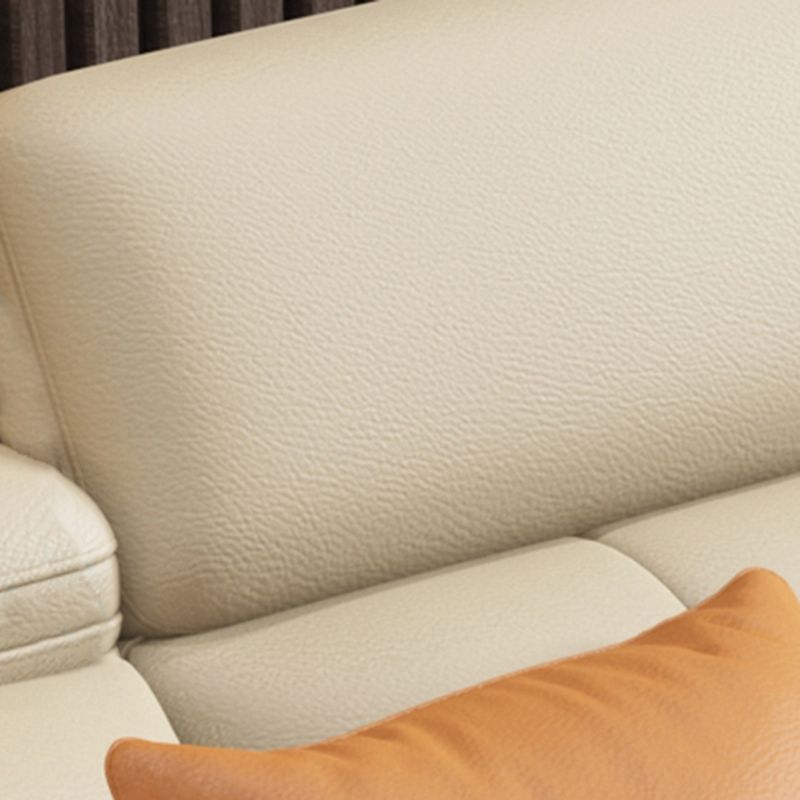 Sofá estacionario de brazo de cuero genuino resistente a las manchas contemporáneos