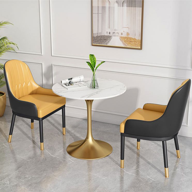 Metal Traditional Luxury Round Dining Table Sintered Stone Table with Tulip Base Clearhalo 'Dining Tables & Seating' 'Dining Tables' 'dining_table' 'furn' 'furn_dining_table' 'Furniture' 'Kitchen & Dining Furniture' 1200x1200_f5a1402f-cb25-474b-b5ae-f1a5891bcfdf