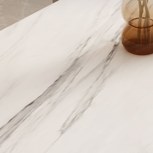 Luxury 1/3/4/6/7 Pieces Dining Set Sintered Stone Dining Table with Leather Chairs Clearhalo 'Dining Room Sets' 'Dining Tables & Seating' 'dining_room_set' 'furn' 'furn_dining_room_set' 'Furniture' 'furniture_dining_room_set' 'Kitchen & Dining Furniture' 1200x1200_f5aa0ea5-346f-4326-8fed-ed8c265e9d98