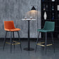 Modern Velvet Bar Stool Backrest Counter Stool for Dining Room Clearhalo 'Bar Furniture' 'Bar Stools' 'bar_stools' 'furn' 'furn_bar_stools' 'Furniture' 'Kitchen & Dining Furniture' 1200x1200_f5cbc2d9-2f6d-43b0-9827-1238ff64fdfe