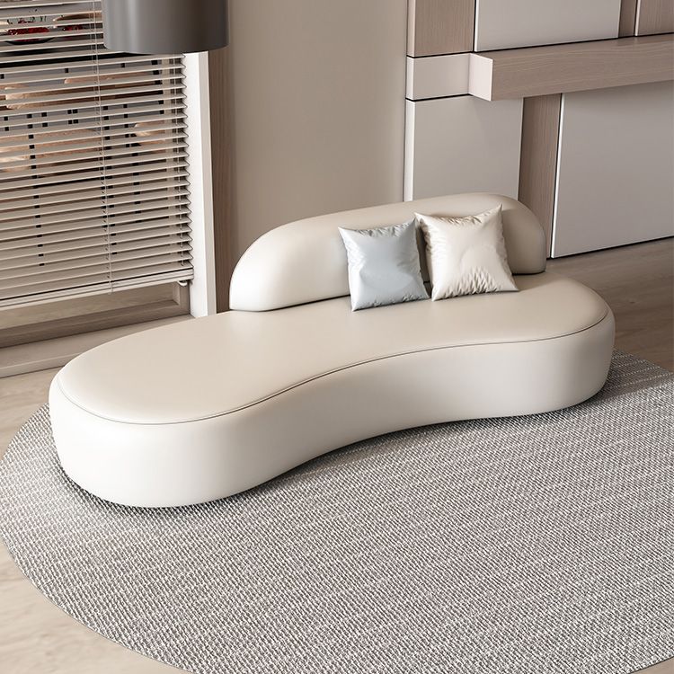 Modern Chaise Lounge Genuine Leather Chaise Lounge with Recessed Arm Clearhalo 'Chairs & Seating' 'Chaise Lounge' 'chaise_lounge' 'furn' 'furn_chaise_lounge' 'Furniture' 'Living Room Furniture' 1200x1200_f5e15e13-75f8-4ac8-ab3c-d5a25ba13b8c