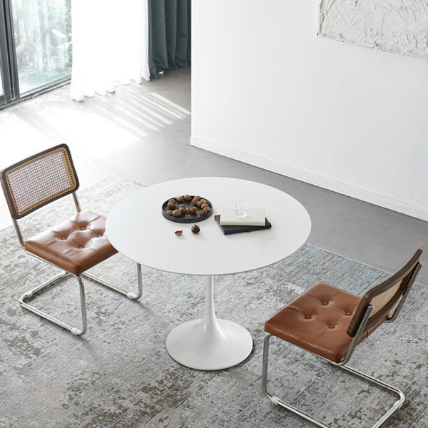 Modern Tulip Pedestal White Dining Table Stone Table for Kitchen Clearhalo 'Dining Tables & Seating' 'Dining Tables' 'dining_table' 'furn' 'furn_dining_table' 'Furniture' 'Kitchen & Dining Furniture' 1200x1200_f5e62adb-5872-4cdc-9ea4-1346600e6c9f