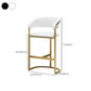 Glam Armrest Backrest Counter Stool Iron Bar Stool with Leather Cushion and Pedal Clearhalo 'Bar Furniture' 'Bar Stools' 'bar_stools' 'furn' 'furn_bar_stools' 'Furniture' 'Kitchen & Dining Furniture' 1200x1200_f5eaeaa7-bd9d-4dea-9f0b-b337a91d0267