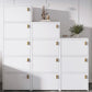 Modern Rectangle Chest White Wood Storage Cabinet with Drawer Clearhalo 'Cabinets & Chests' 'cabinets_chests' 'furn' 'furn_cabinets_chests' 'Furniture' 'Living Room Furniture' 1200x1200_f60c4336-af31-43f1-913c-3b6a76ed85e0
