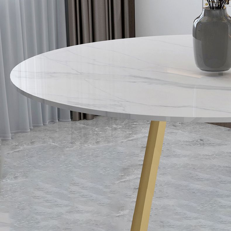 Contemporary Round Dining Table White Sintered Stone Dining Table with Pedestal Base Clearhalo ' dining_table' 'Dining Tables & Seating' 'Dining Tables' 'Furniture' 'furniture_dining_table' 'Kitchen & Dining Furniture' 'kitchen&dining_furn' 'kitchen' 'kitchen_dining_table' 1200x1200_f666dd6d-0370-4d97-ab80-995526f6e64c