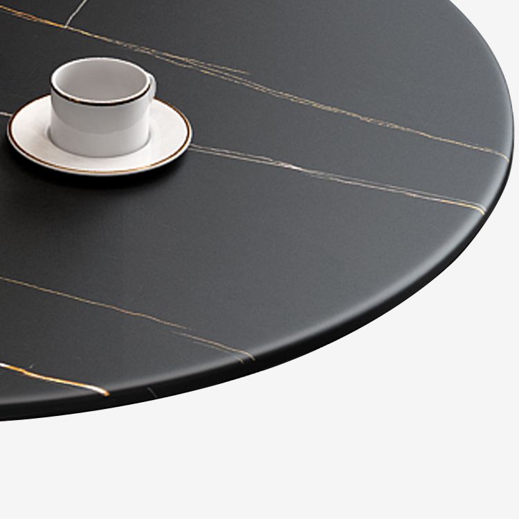 Modern Round Dining Table Sintered Stone Dining Table with Tulip Base for Dining Room Clearhalo ' dining_table' 'Dining Tables & Seating' 'Dining Tables' 'furn' 'furn_dining_table' 'Furniture' 'furniture_dining_table' 'Kitchen & Dining Furniture' 'kitchen&dining_furn' 'kitchen' 'kitchen_dining_table' 1200x1200_f69701cb-a954-4de6-9d8d-5c6e065ffb4e